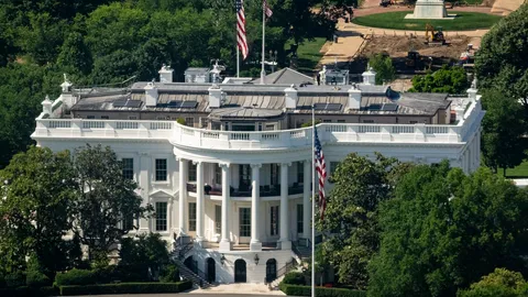 Trump's AI Order: Voluntary 30-Day Model Review
